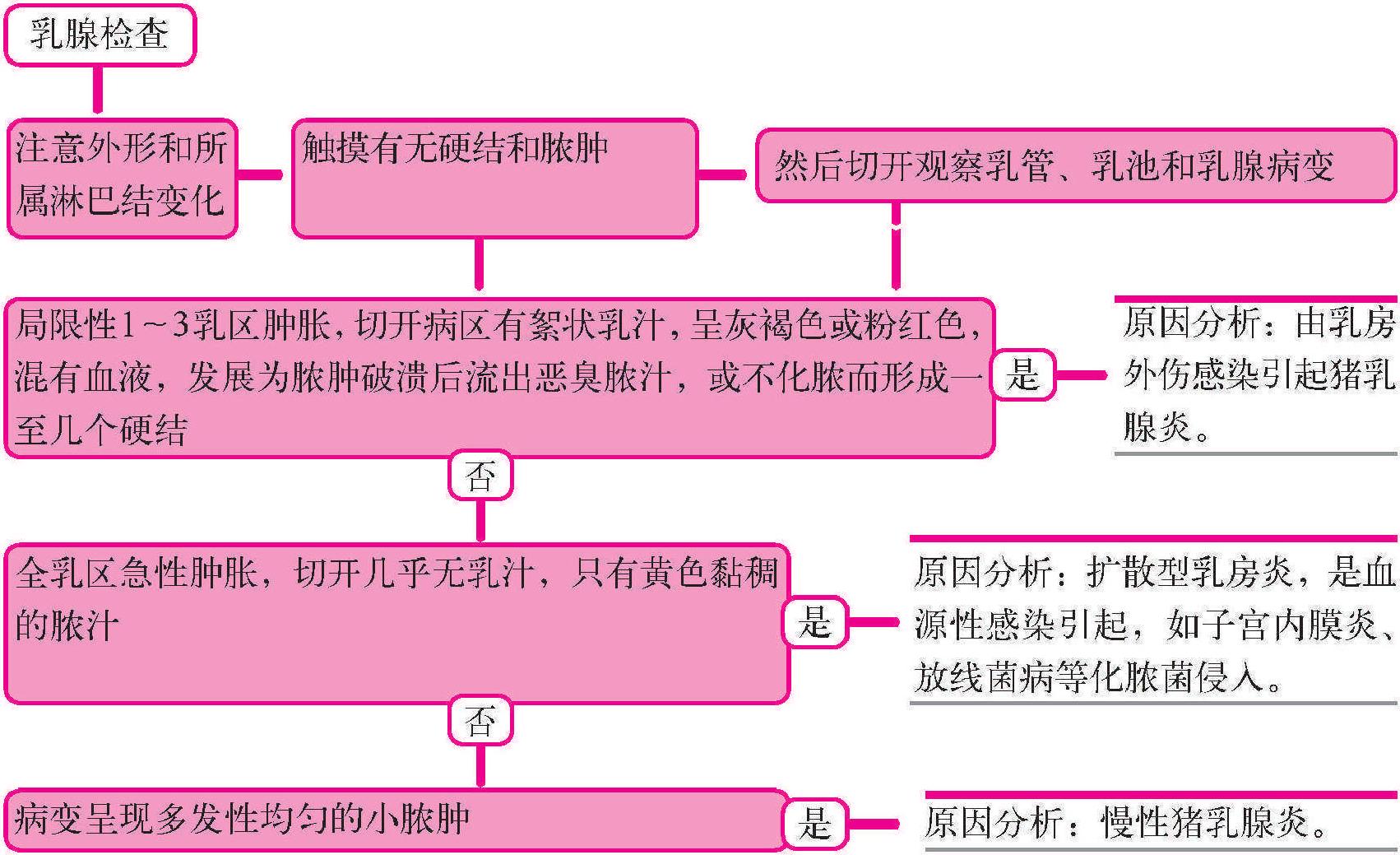 二十、乳腺